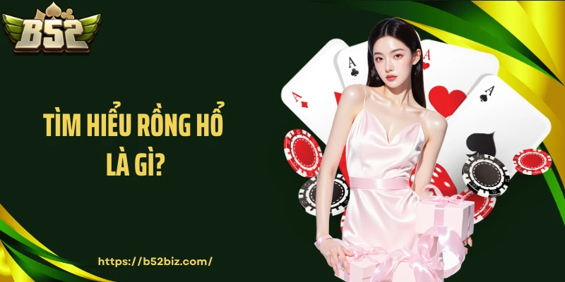 Tìm hiểu rồng hổ là gì?